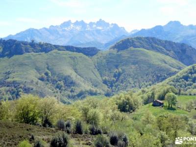 Parque Natural Ponga-Puente de Mayo;rutas la pedriza senderismo ruta senderismo la pedriza ruta a pi